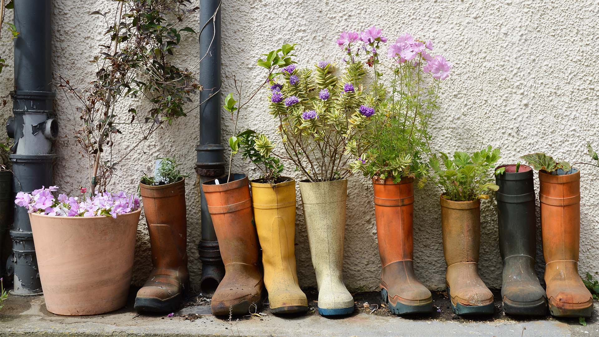 An English countryside adventure