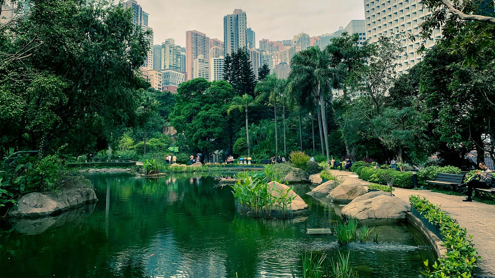 Seeking out green spaces in Hong Kong