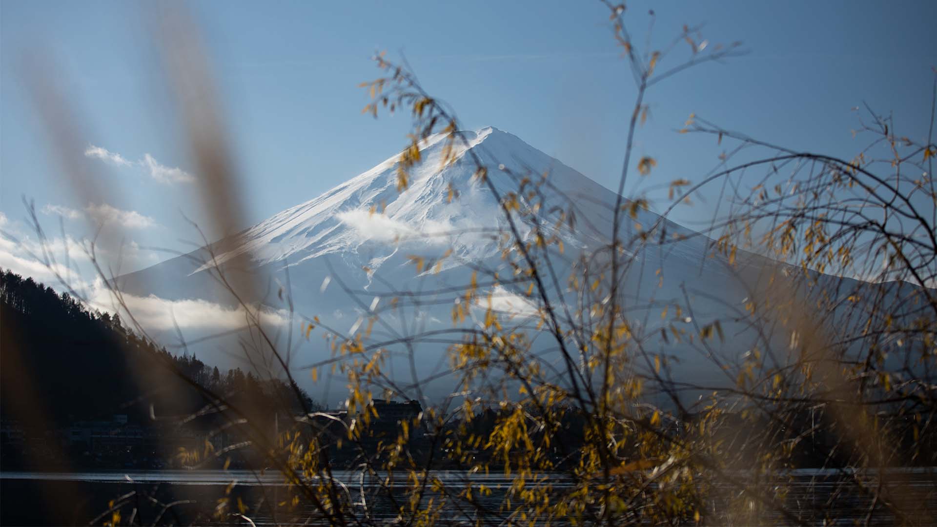 Japan: through the seasons