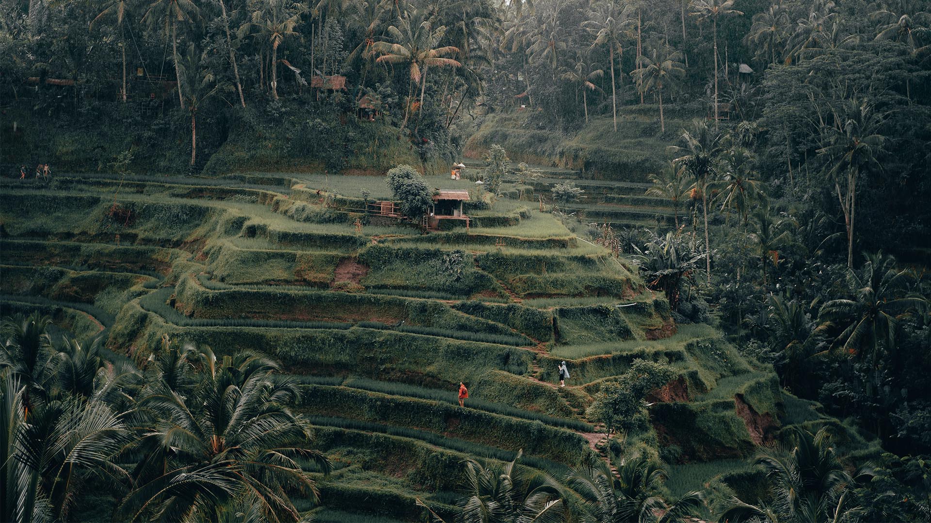 Beach dwelling and island hopping in Bali