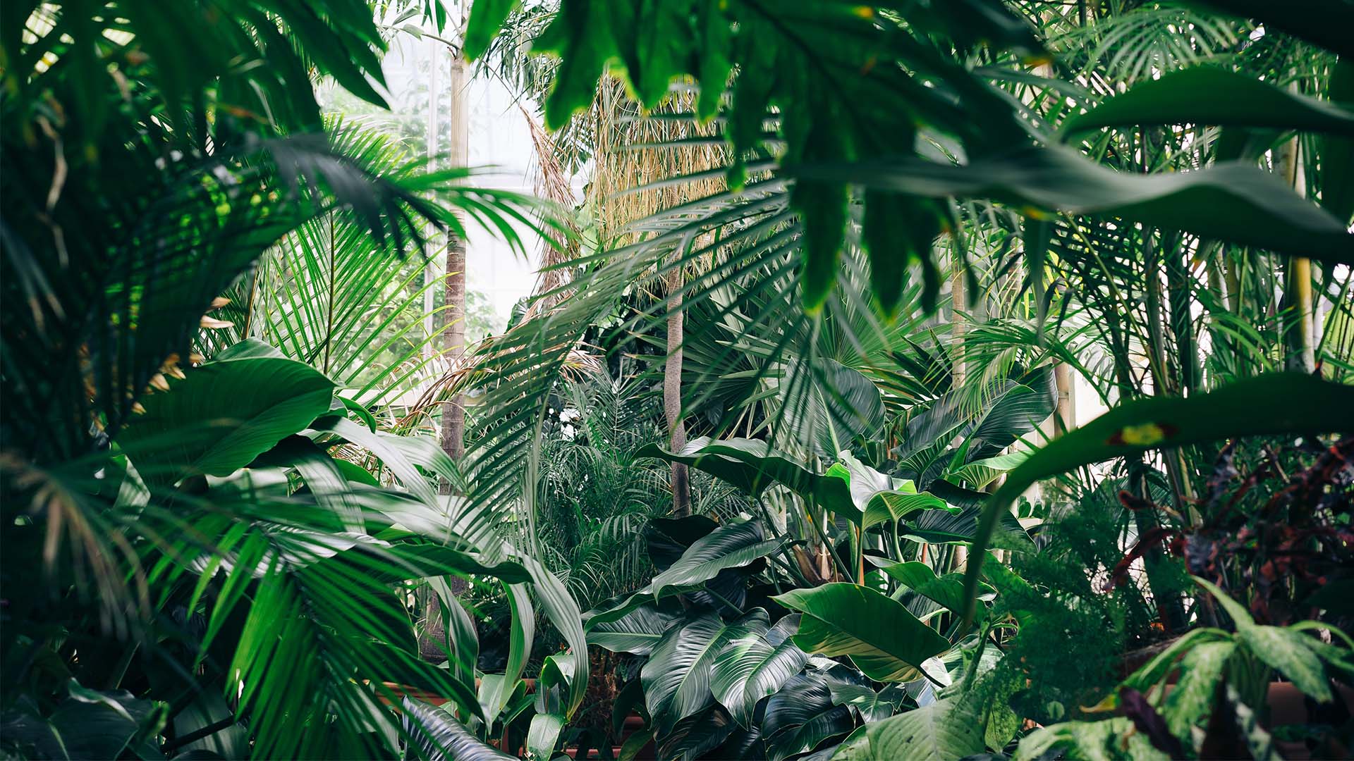 Going abroad? Go eco-friendly