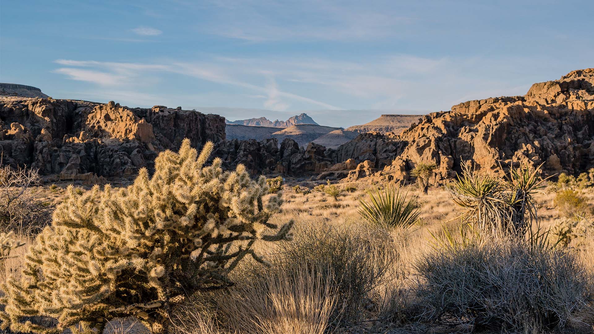 From sun-soaked desert to the breezy coast
