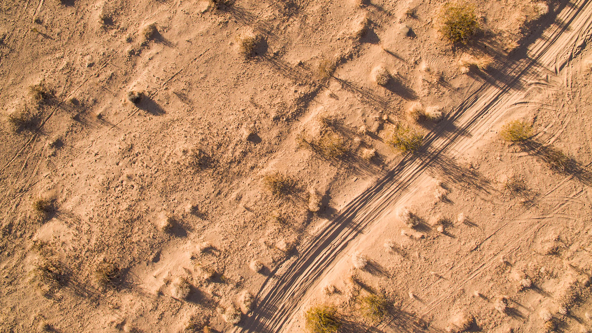 An off-grid adventure in the Arizona desert