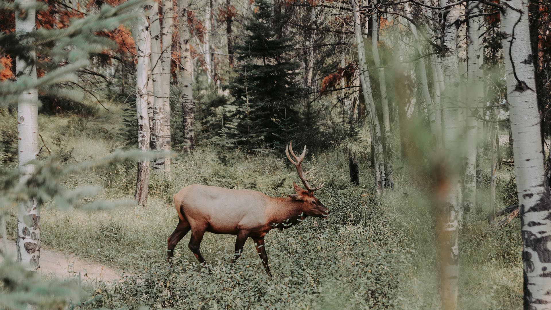 The Wilderness Edition: 10 remote destinations to get away from it all