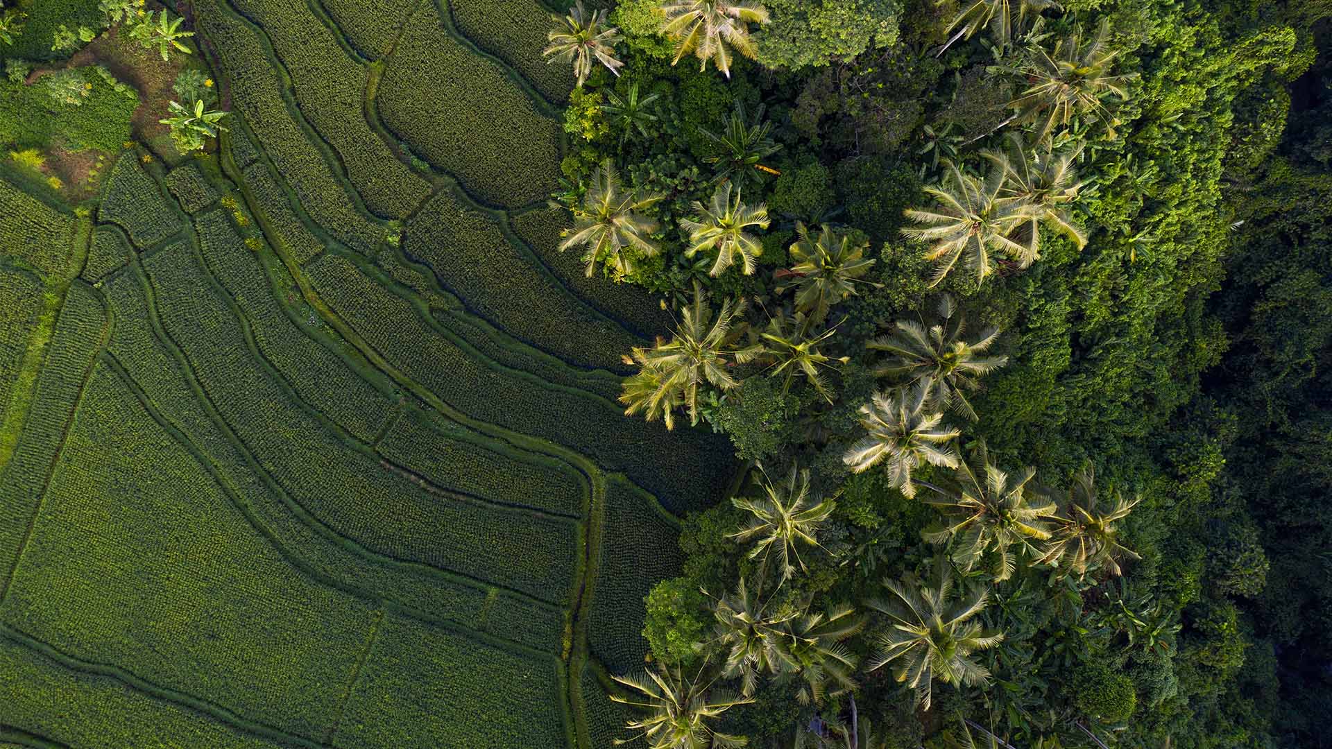 Luxury travel trends for 2021 according to industry experts