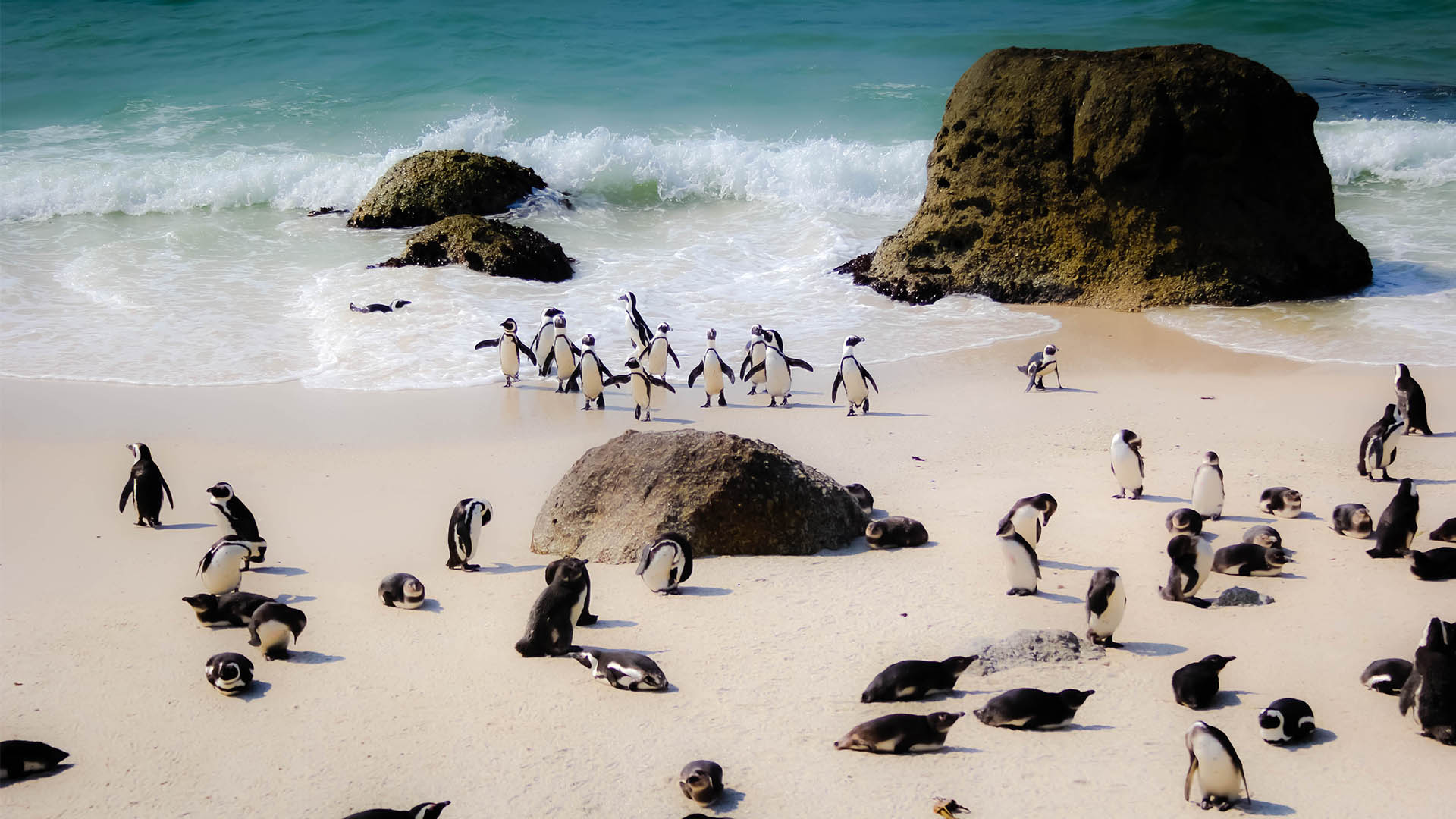 South Africa Spotlight: 3 Western Cape hotels worth visiting