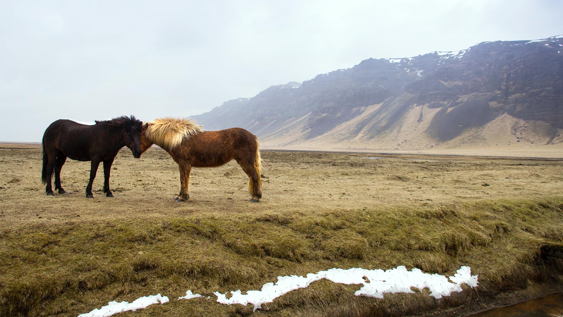 Send your loved one kisses from Iceland this Valentine’s Day
