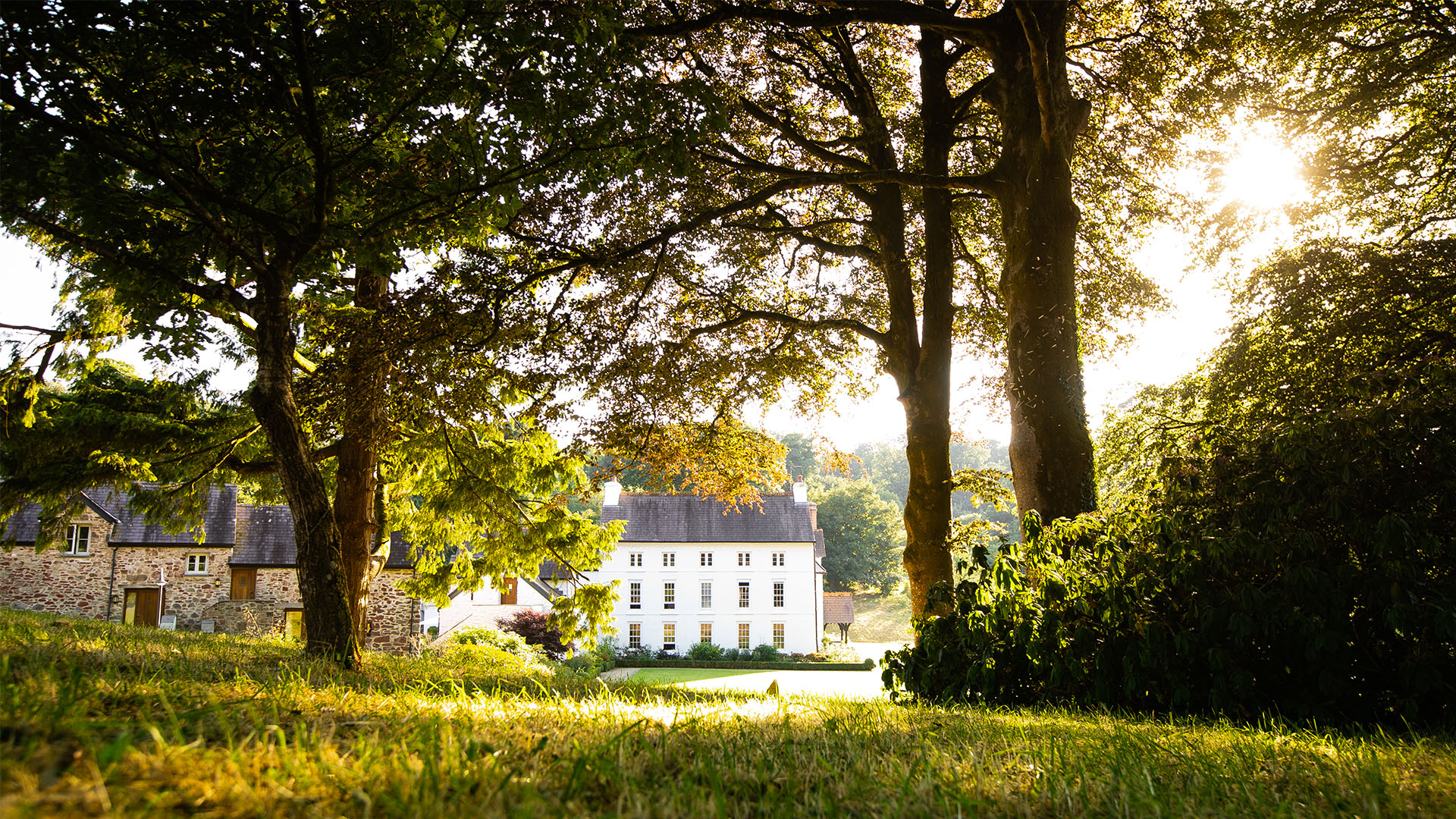 Independent Minds: Neil Kedward, Grove of Narberth