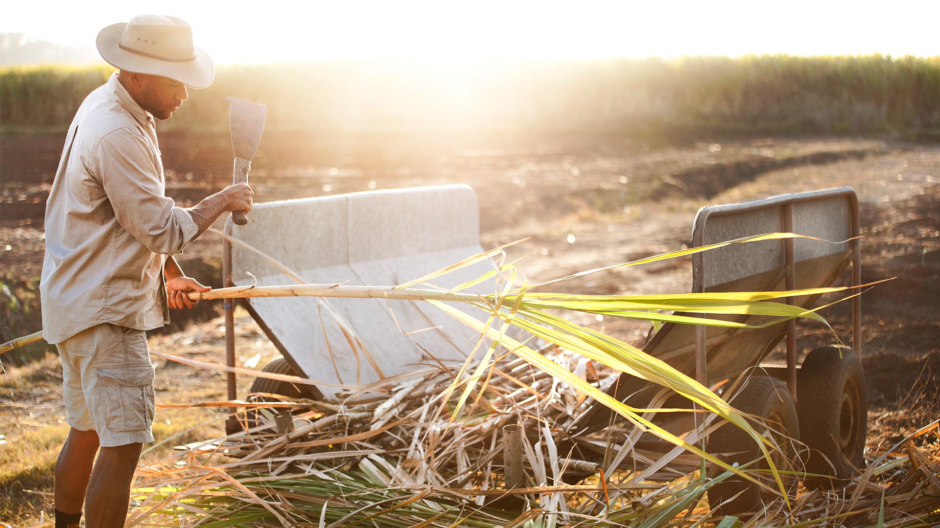 Paddock to bottle rum: distilling the best from Australia’s Tweed Valley