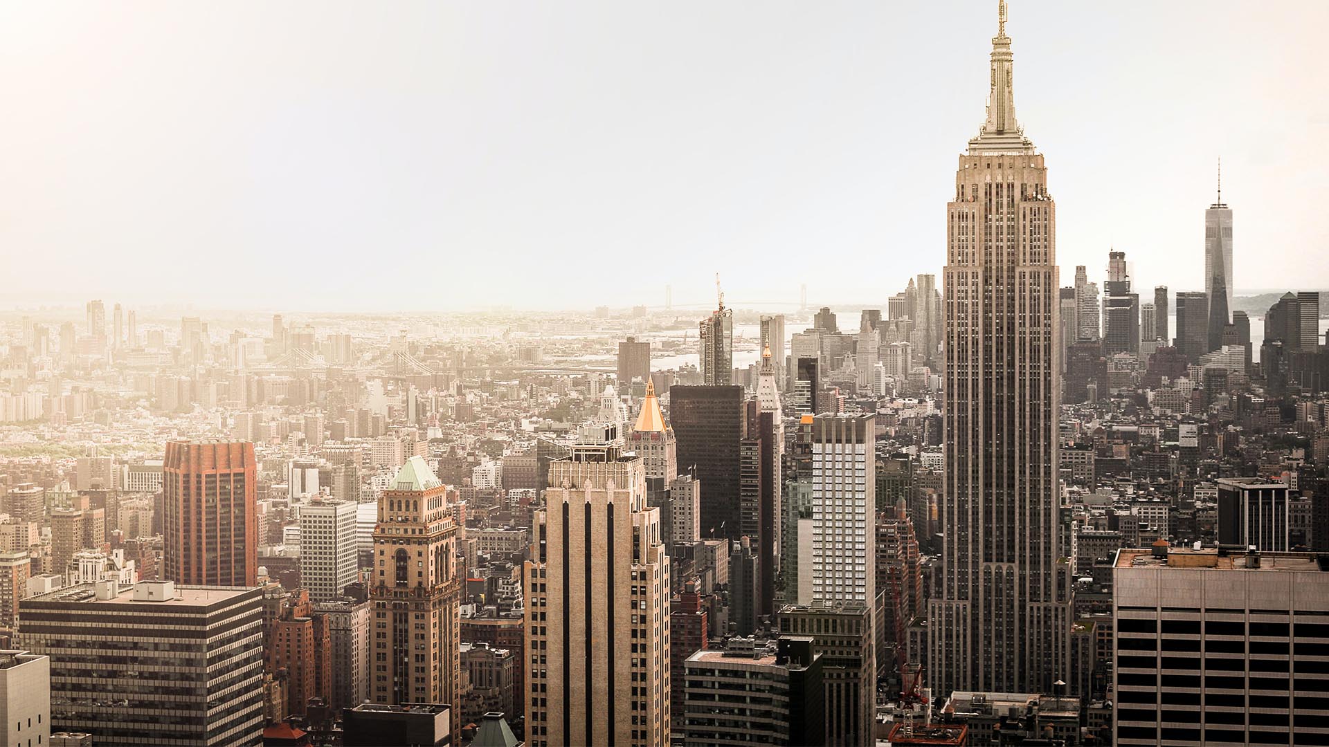 The ultimate New York city guide