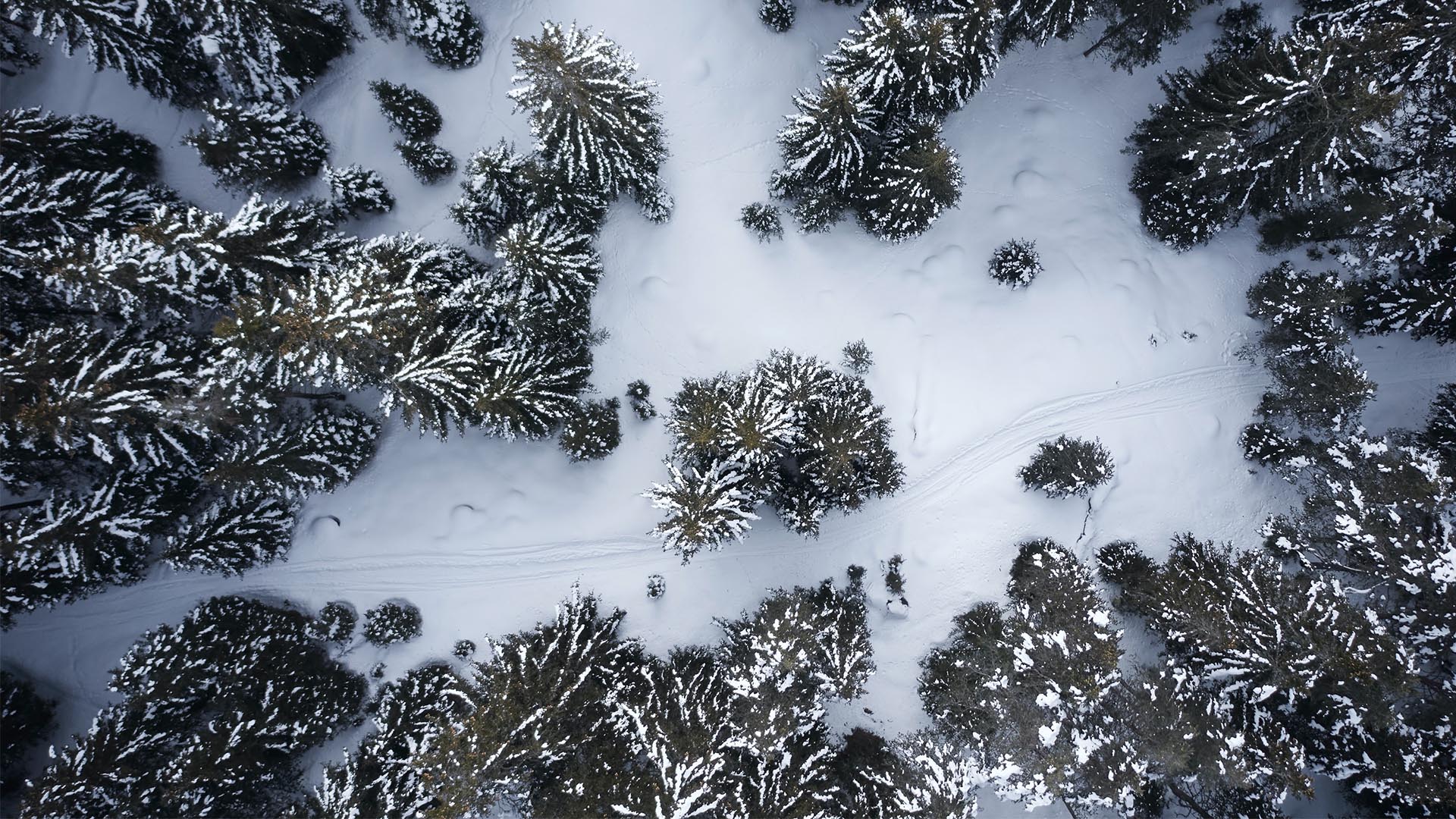 10 ideas for an unforgettable winter break