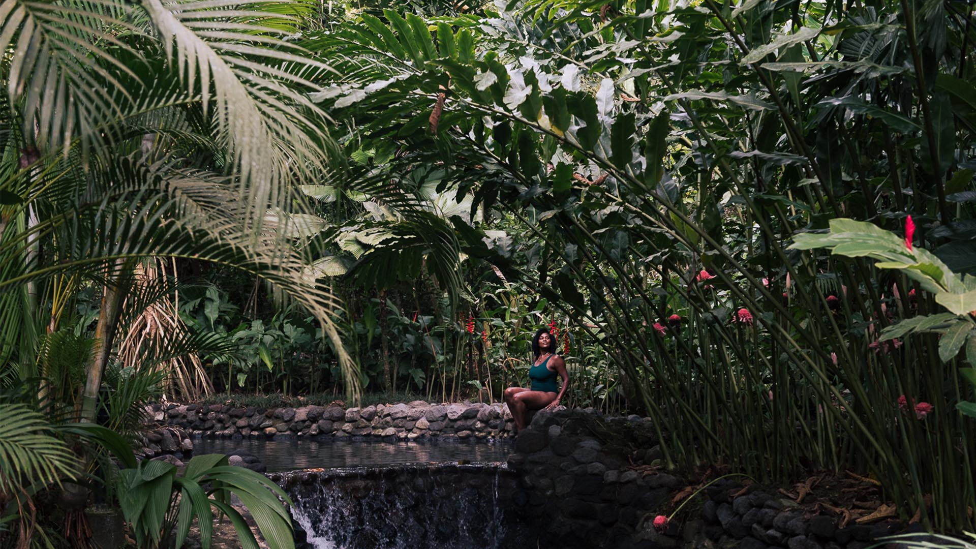 Women seeding change: reforest the world with TreeSisters