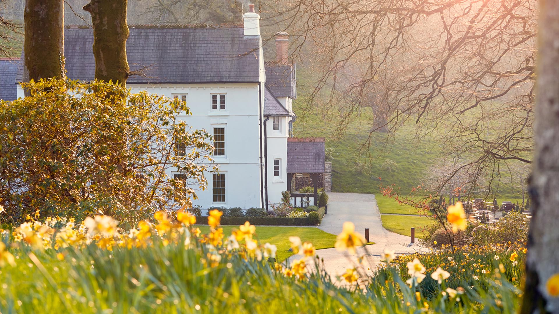 Unearthing the pleasures of Pembrokeshire with a Welsh country gardener
