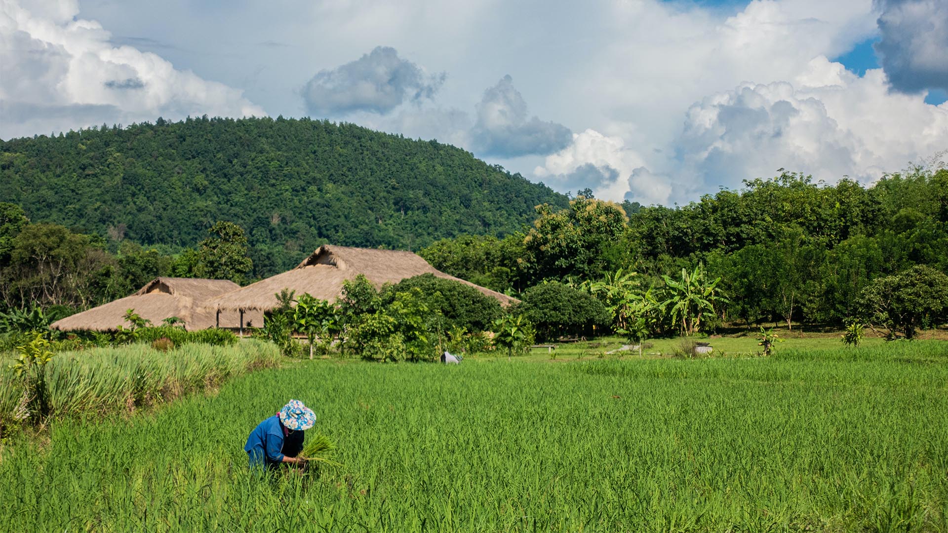 Off the tourist trail in Thailand