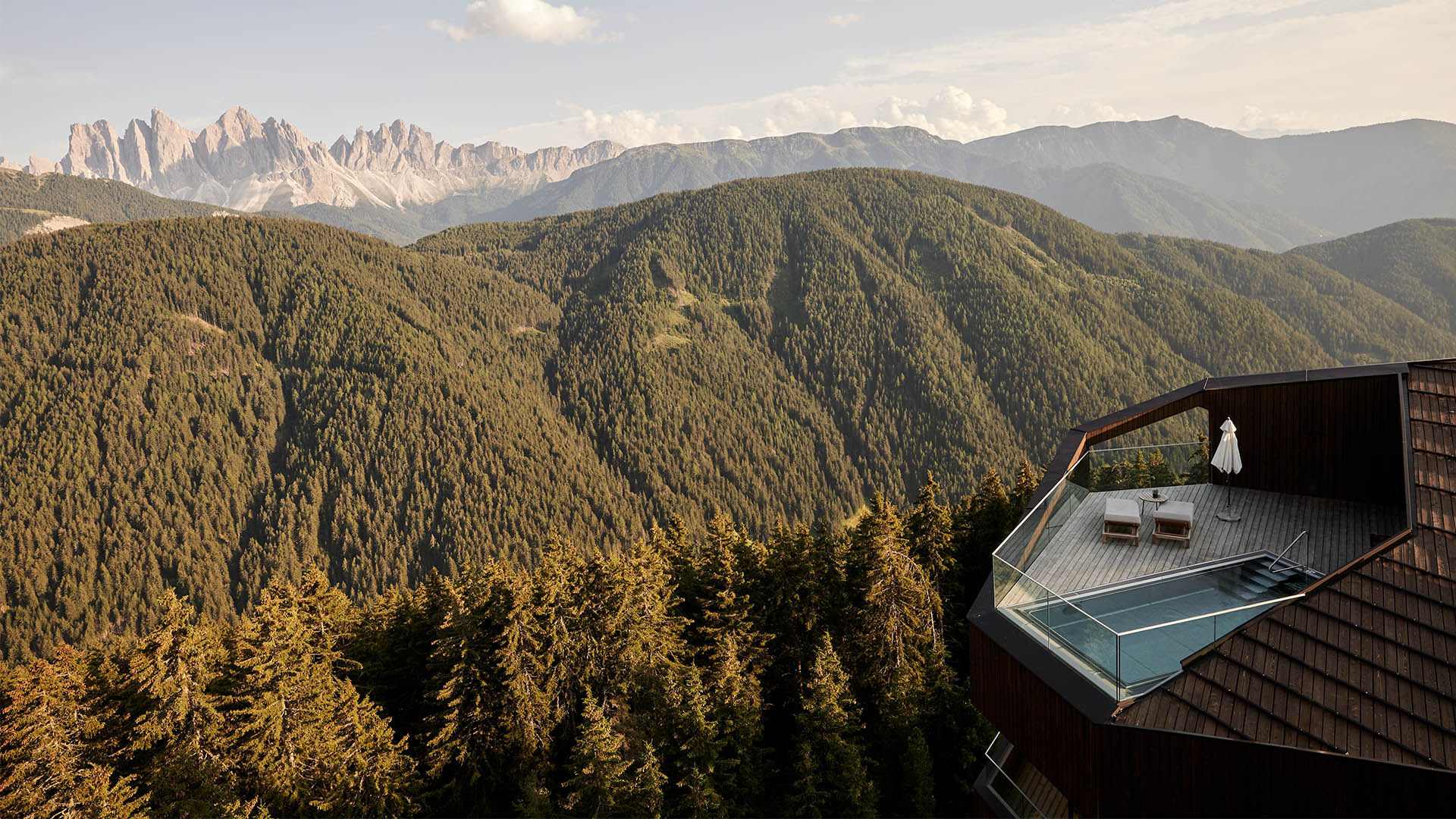 7 tree planting hotels for a forest-friendly stay