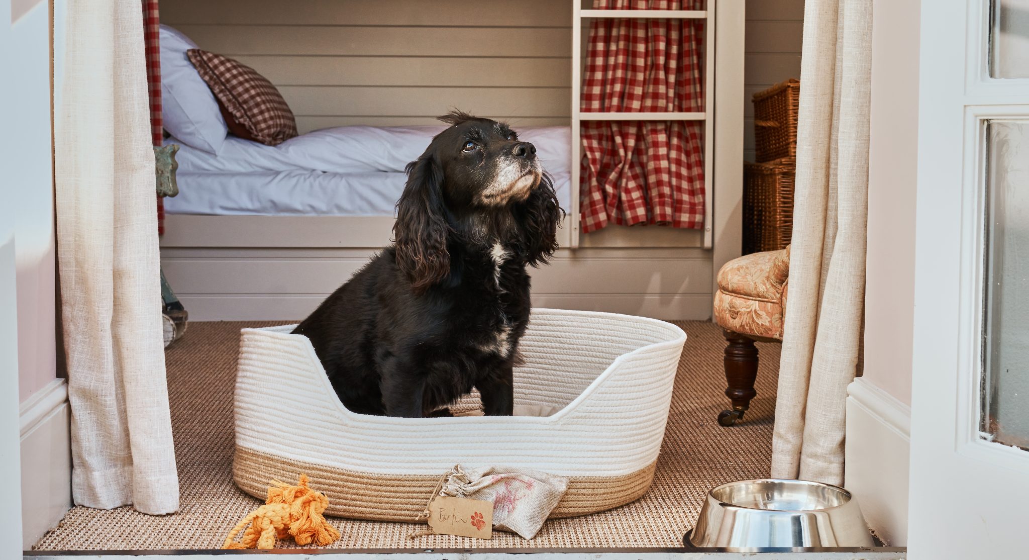 The ultimate dogfriendly boutique hotel guide Small Luxury Hotels of
