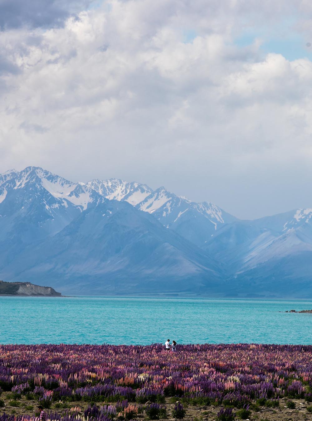 Lake Tekapo