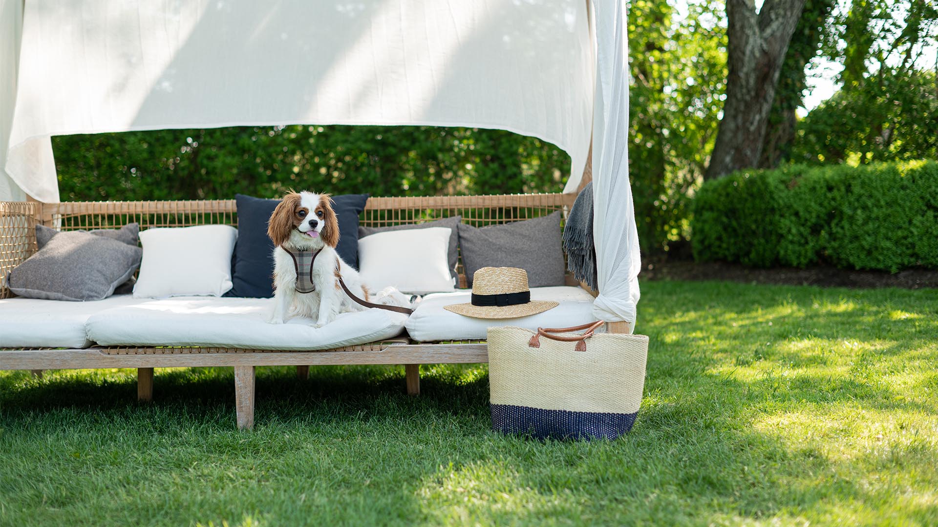 The ultimate dogfriendly boutique hotel guide Small Luxury Hotels of