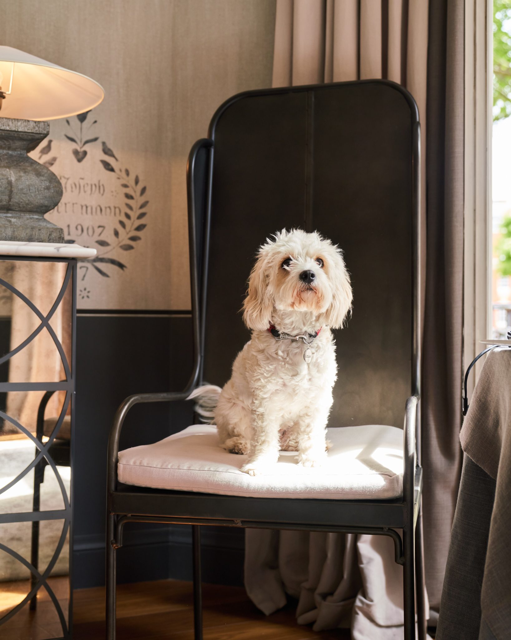 The ultimate dogfriendly boutique hotel guide Small Luxury Hotels of