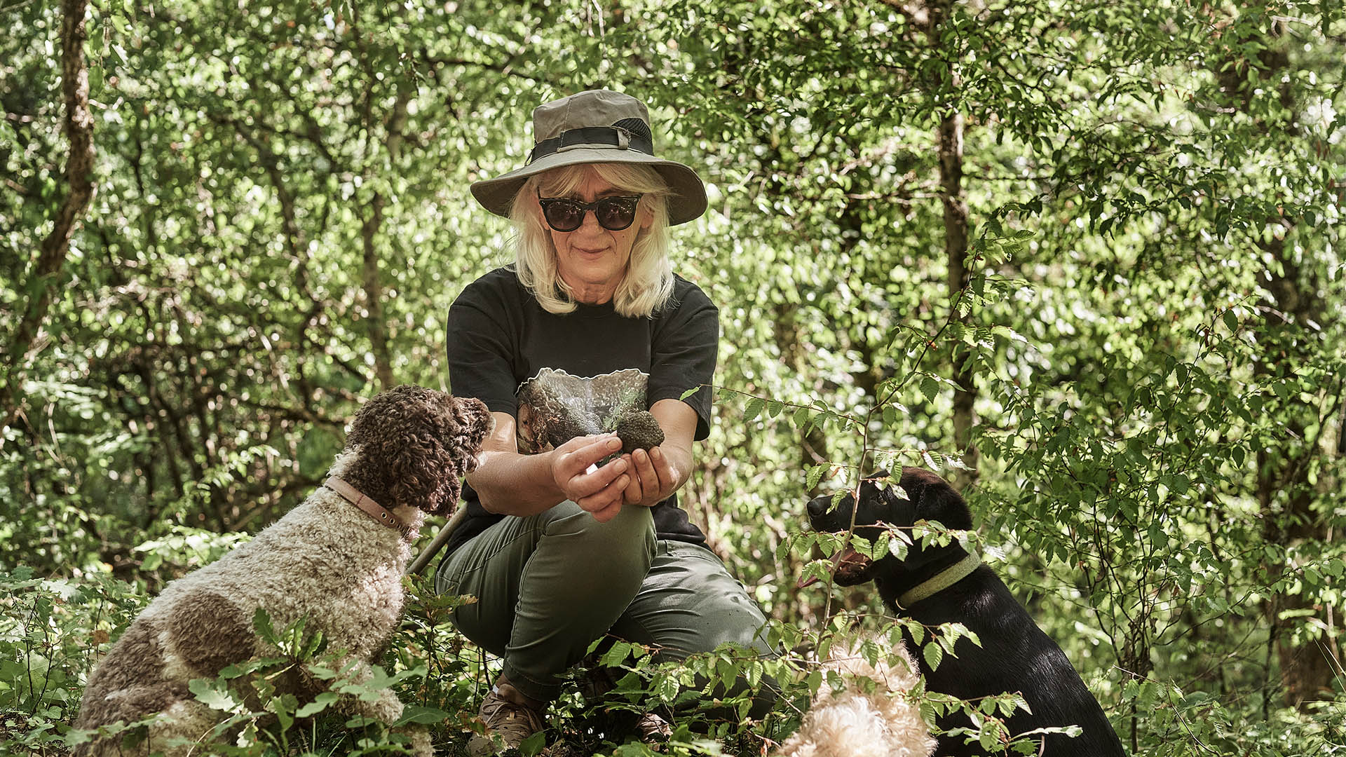 An On The Ground Guide To Truffle Hunting In Greece S Pindus Mountains   Katerina Hero 