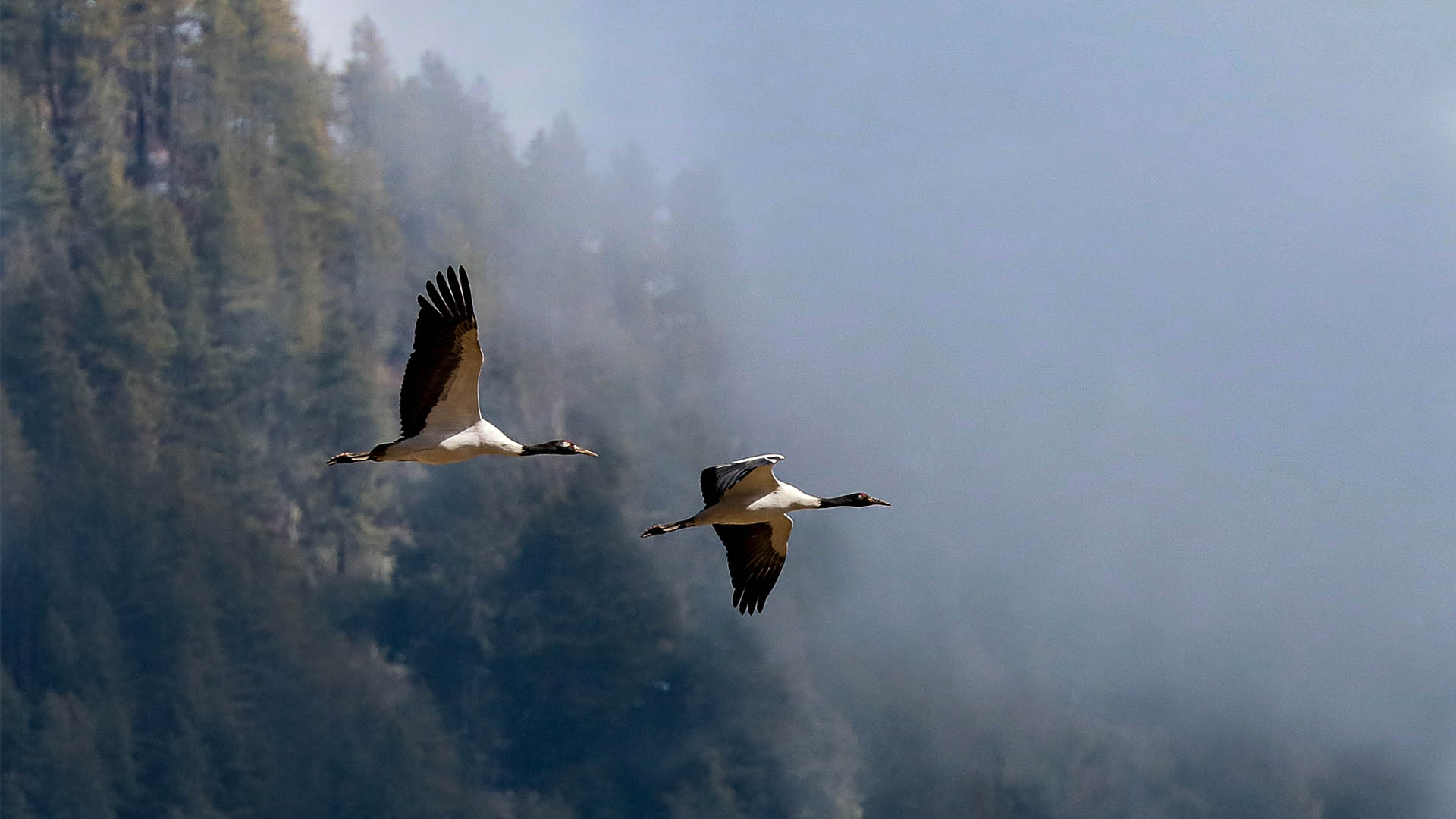 Bhutan