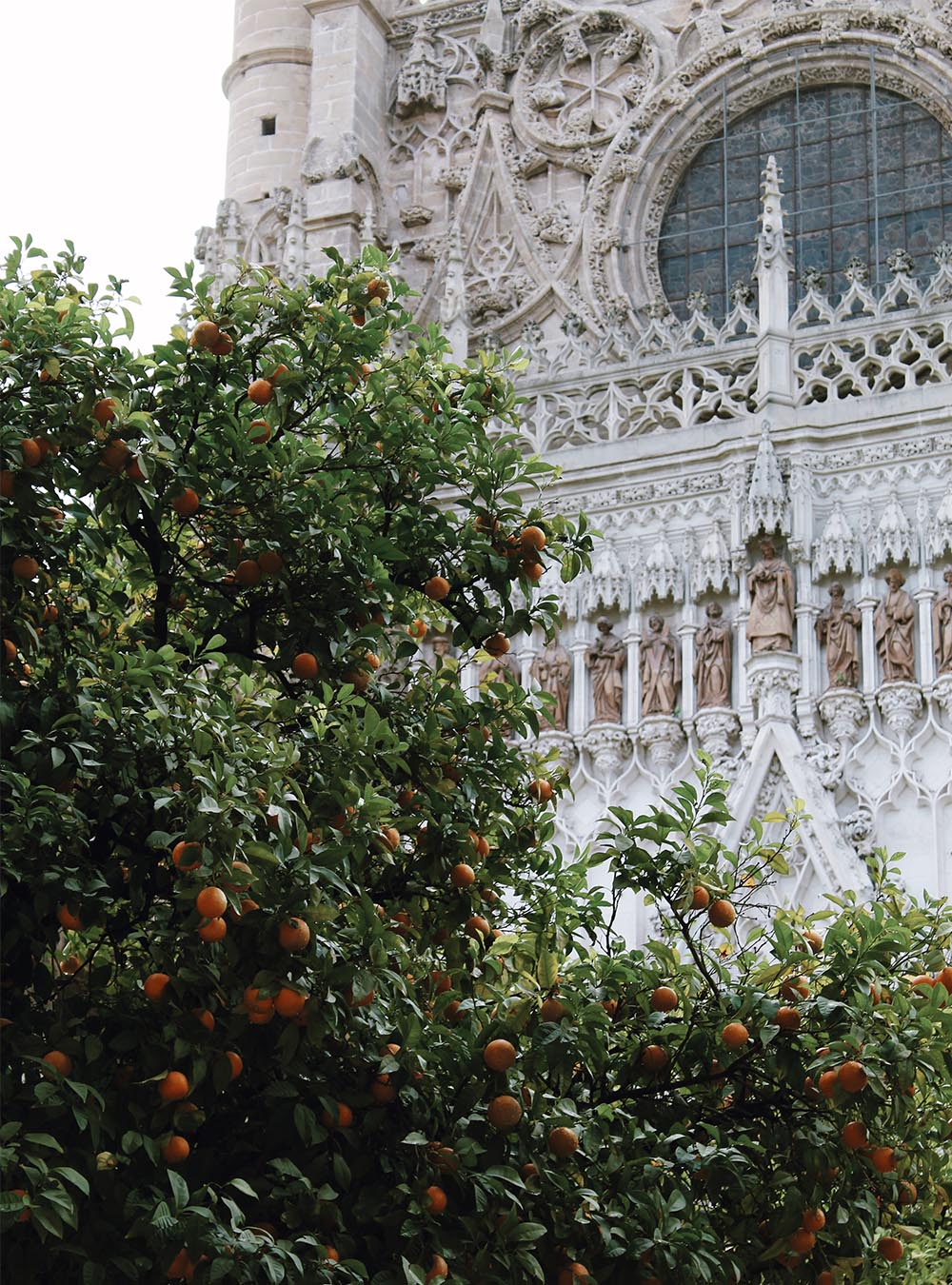 The ultimate Seville city guide Small Luxury Hotels of the World Journal