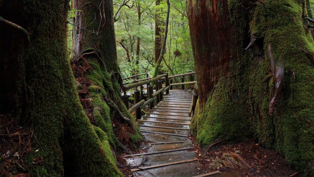 Yakushima