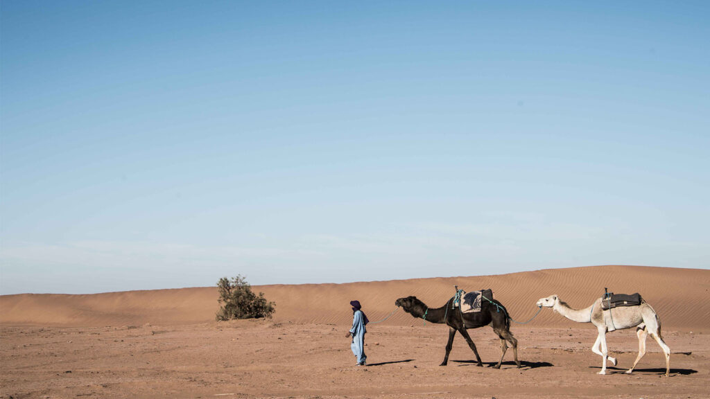 Desert