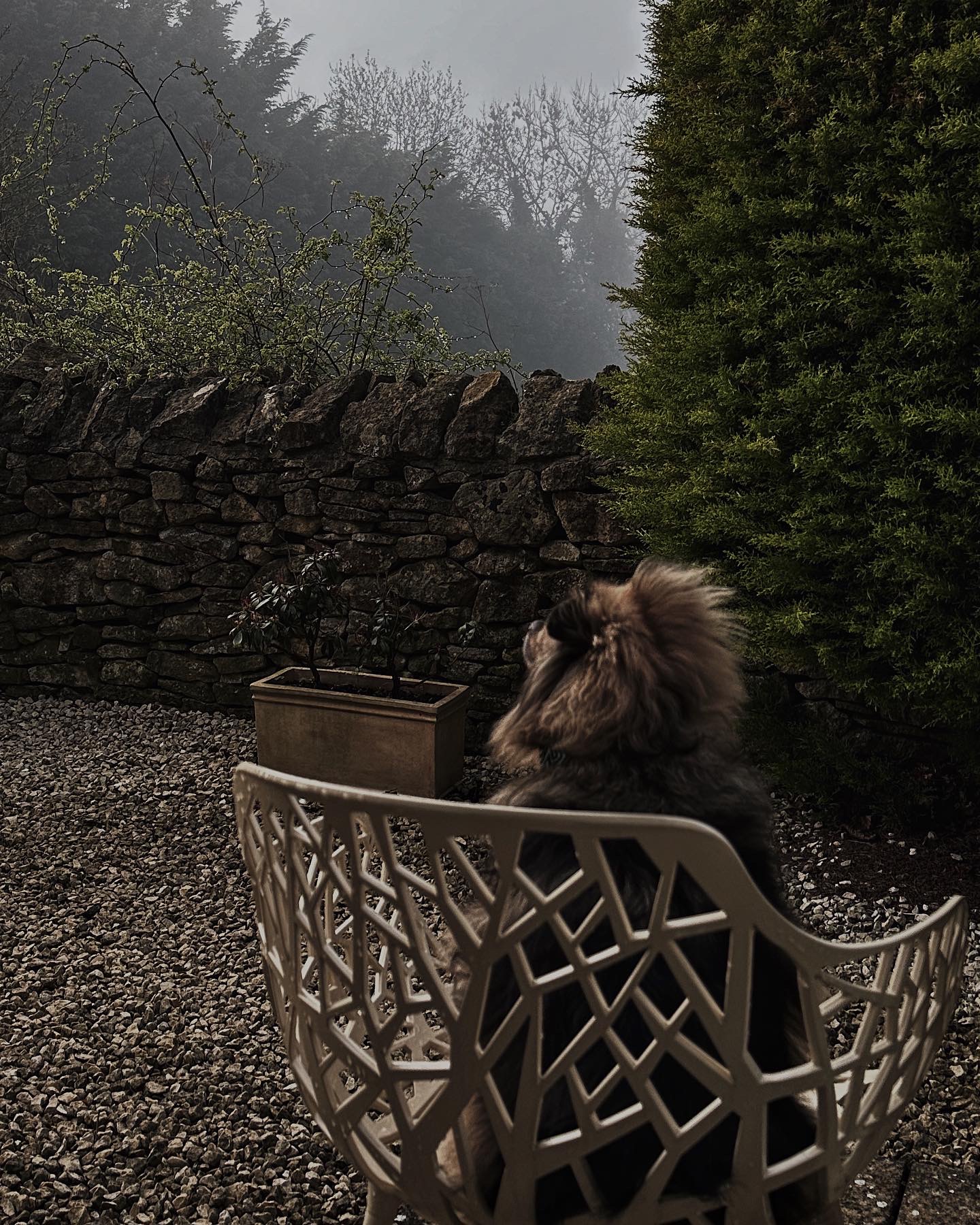 Dormy House the most stylish dogfriendly hotel in the Cotswolds