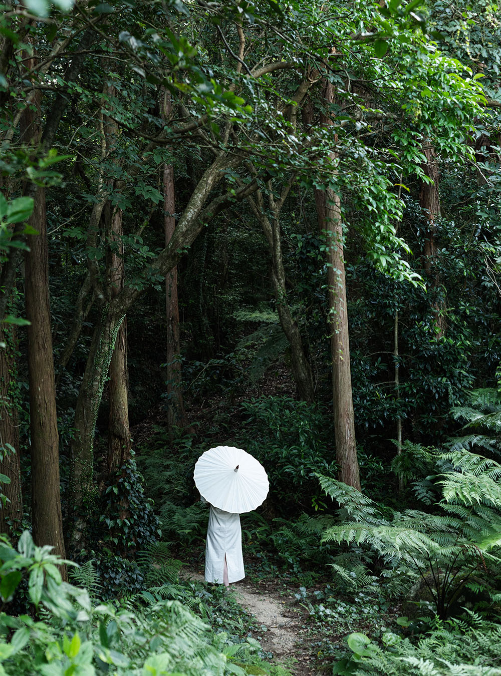 Yakushima