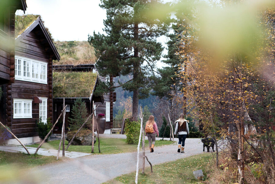 5 holiday ideas to embrace the autumn equinox