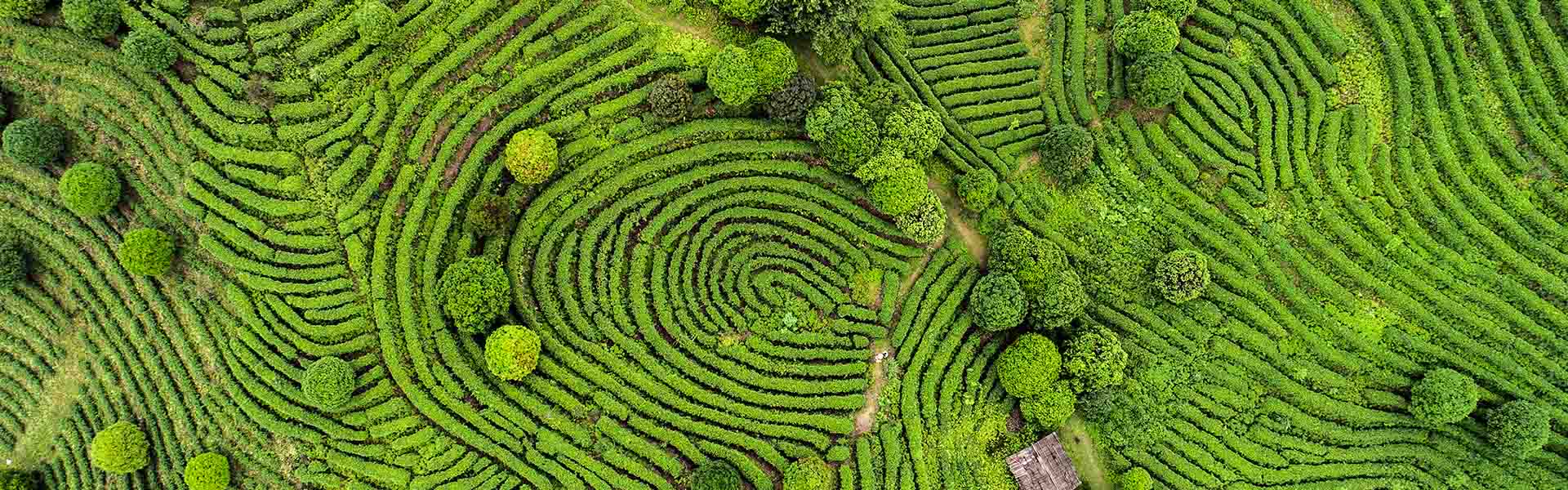 On the UNESCO trail in Southeast Asia
