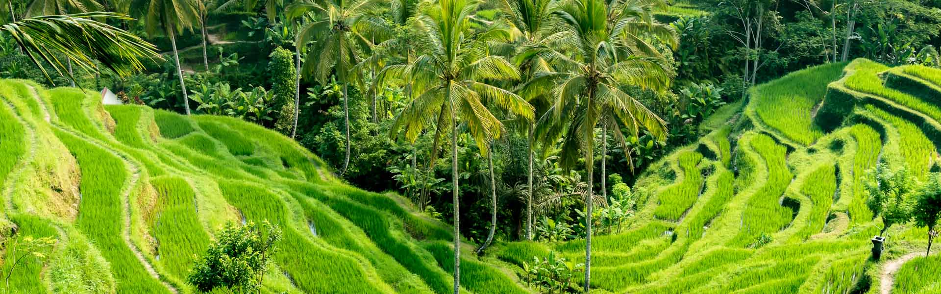 Beach dwelling and island hopping in Bali