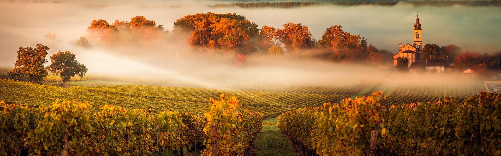 A long weekend in Bordeaux