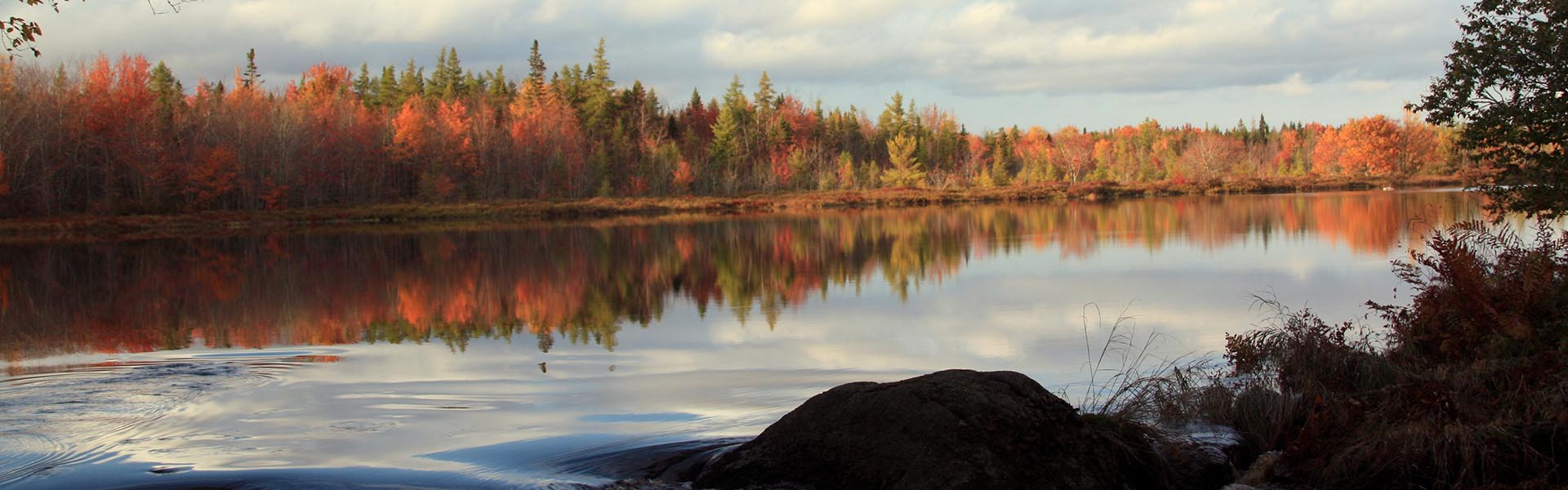Call of the wild in Canada