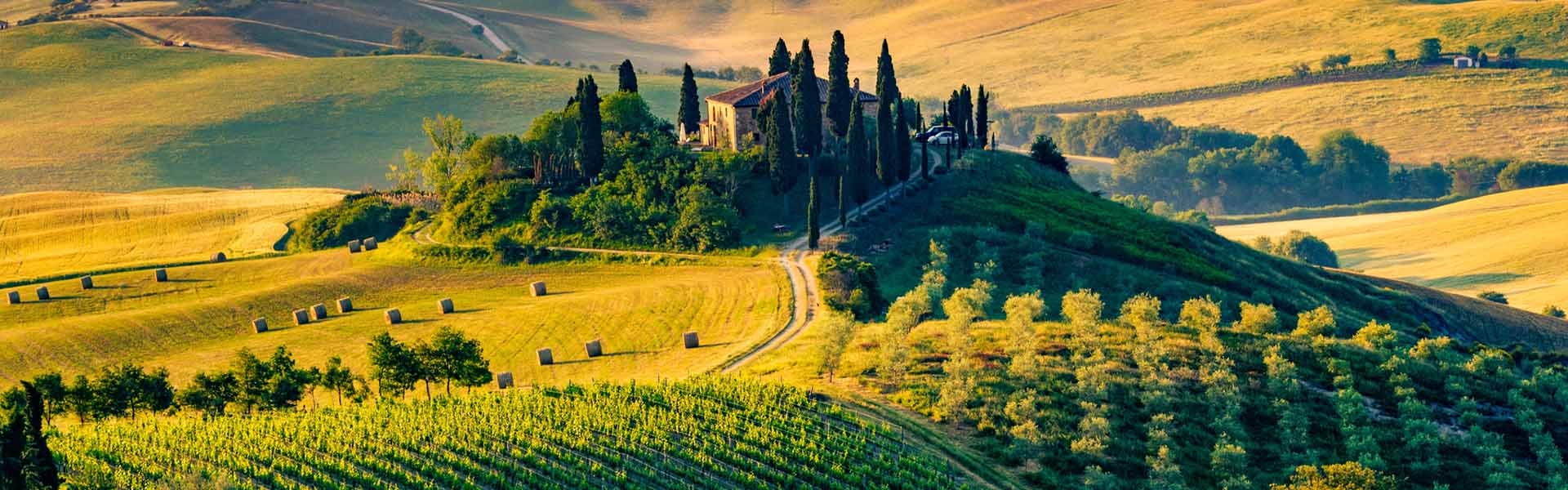 From coast to countryside