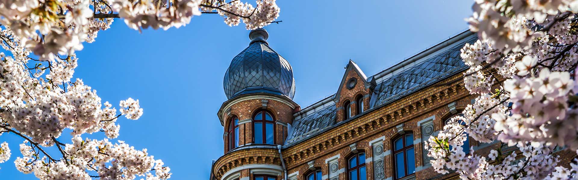 Old soul, new wave: a fresh take on Gothenburg