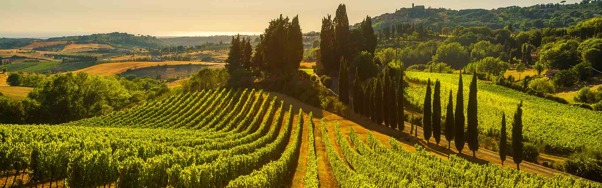 All roads lead to Rome