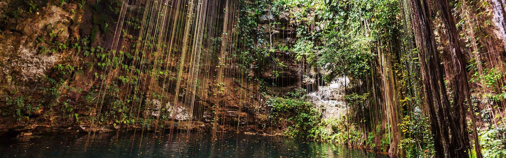 Beyond the beach in Mexico