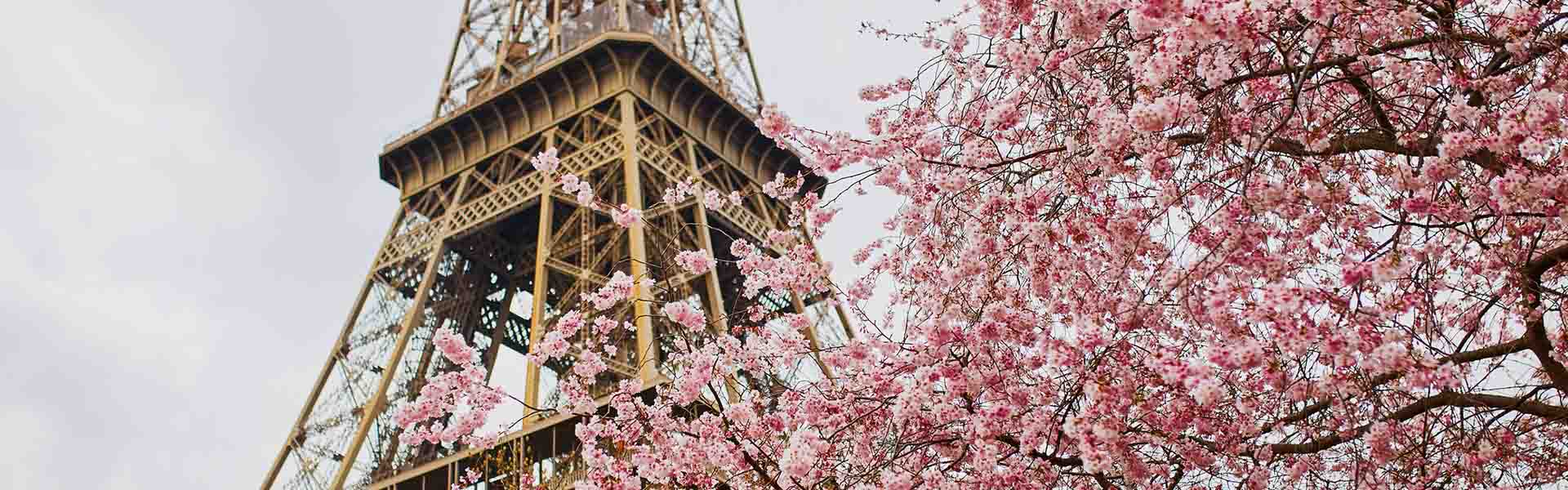 Paris in the springtime