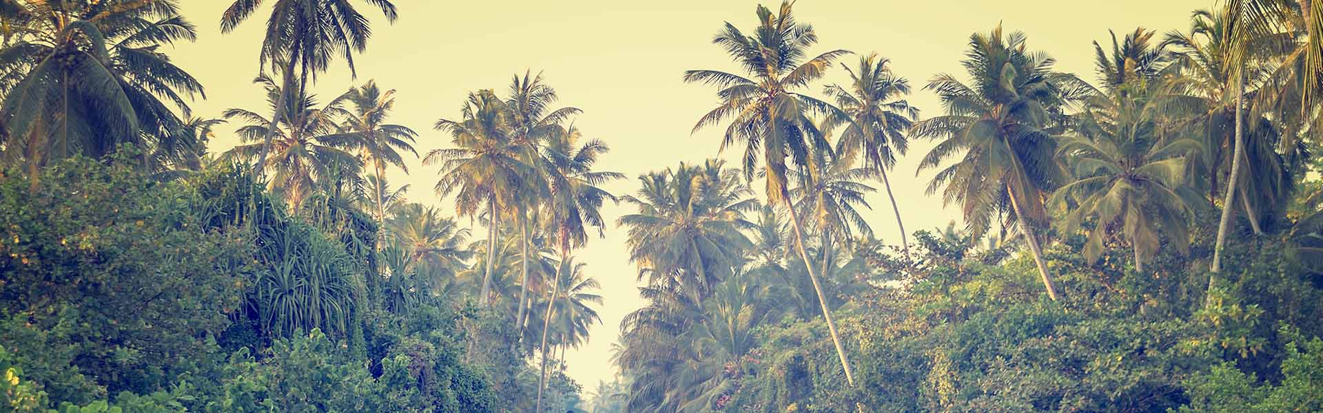 From Colombo to Koggala: a road trip along the Sri Lanka west coast