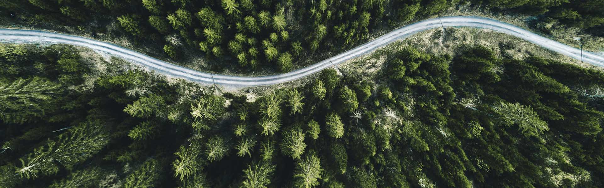 Summer in Switzerland: from lakeside living to Alpine heights