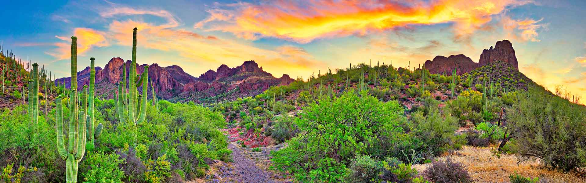 Digital detox in Arizona: re-wild in the great outdoors